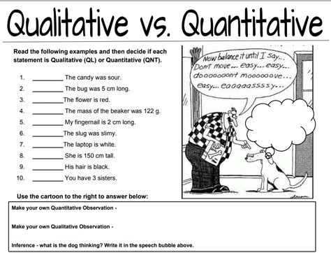 30 Qualitative Vs Quantitative Worksheet | Education Template
